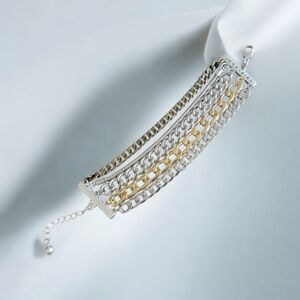 Jenny Bird Silver And Gold Chain Bracelet